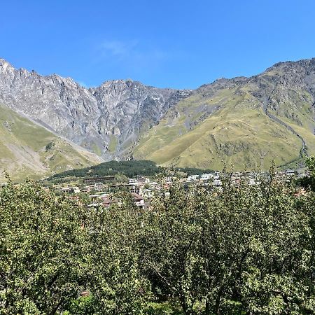 Guest House Demma Kazbegi Dış mekan fotoğraf